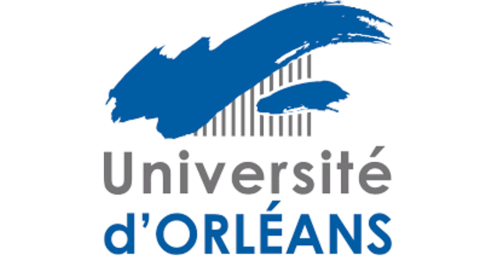Ent université Orléans